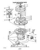 Pump and motor