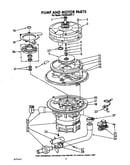 Pump and motor
