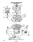 Pump and motor