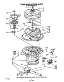 Pump and motor