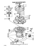 Pump and motor