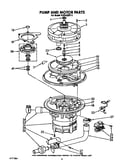 Pump and motor
