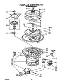 Pump and motor