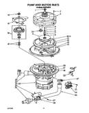 Pump and motor