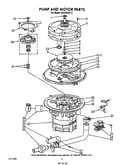 Pump and motor