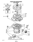 Pump and motor