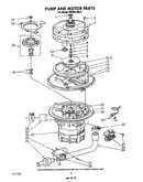 Pump and motor