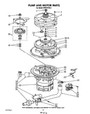 Pump and motor