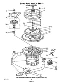 Pump and motor