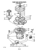 Pump and motor