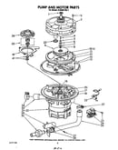 Pump and motor