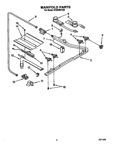 Manifold