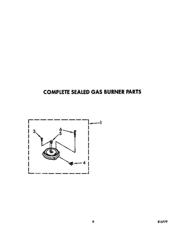 Complete sealed gas burner