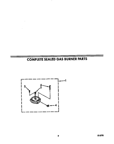 Complete sealed gas burner