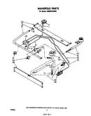 Manifold