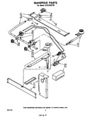 Manifold