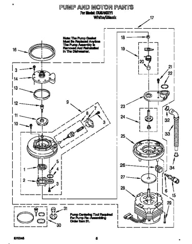 Pump and motor
