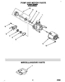 Pump and motor