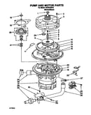 Pump and motor