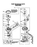 Pump and motor