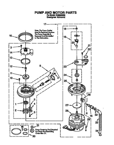 Pump and motor