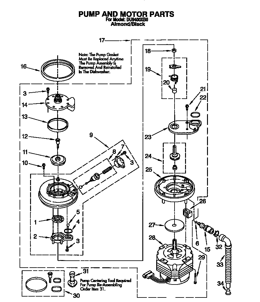 Pump and motor
