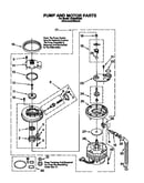 Pump and motor