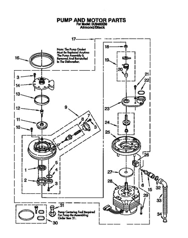 Pump and motor