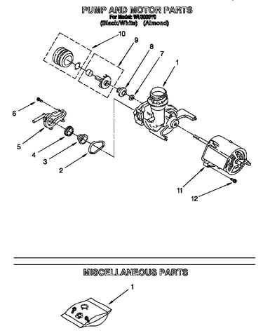 Pump and motor