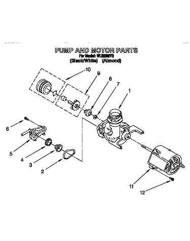 Pump and motor