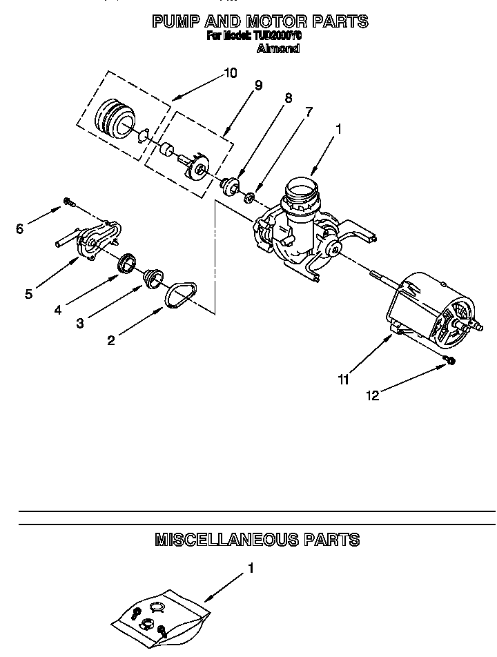 Pump and motor