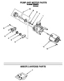 Pump and motor