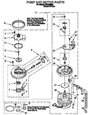 Pump and motor