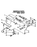 Manifold