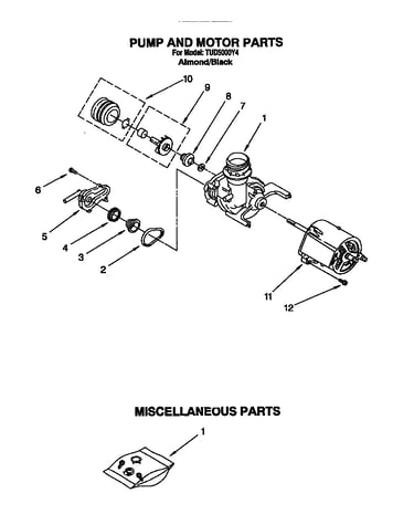 Pump and motor