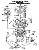 Pump and motor