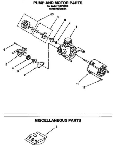 Pump and motor