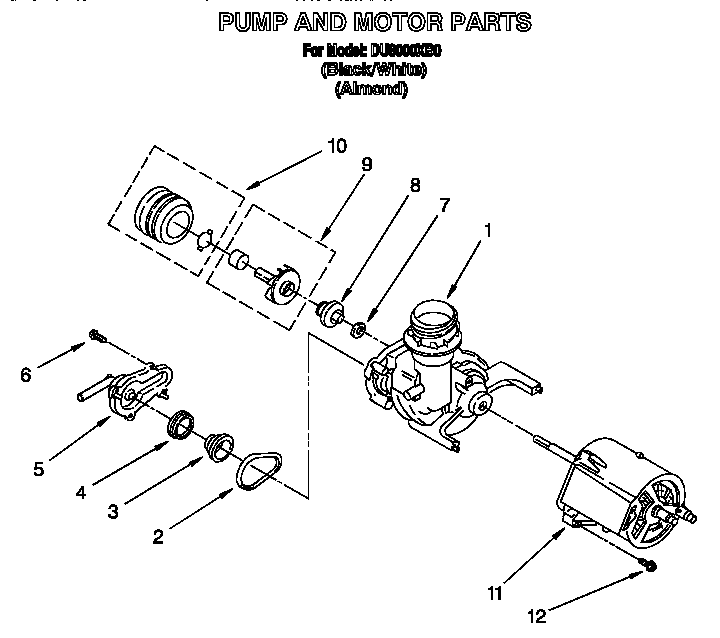 Pump and motor