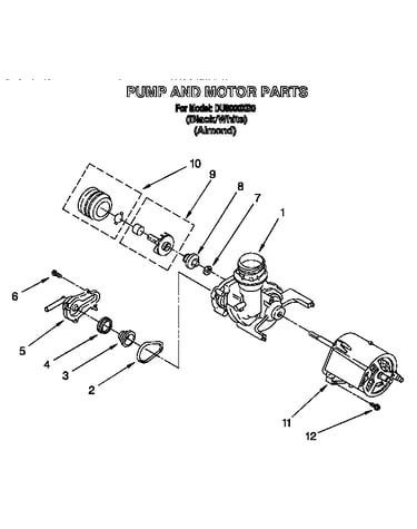 Pump and motor