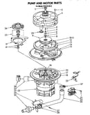 Pump and motor