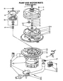Pump and motor