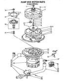 Pump and motor
