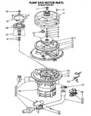 Pump and motor