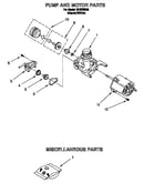 Pump and motor