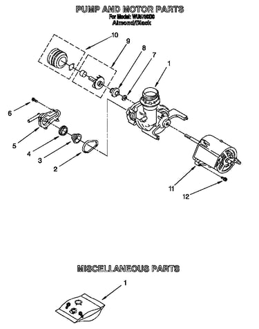Pump and motor