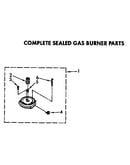 Complete sealed gas burner