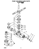 Pump and spray arm