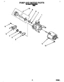 Pump and motor
