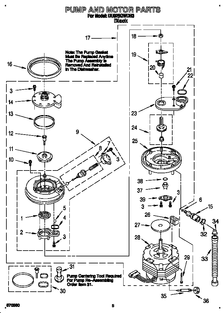 Pump and motor