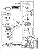 Pump and motor